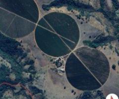 Fazenda / cafe - Soja, em Varjão de MInas 265 Ha