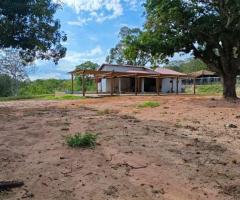 Fazenda em João Pinheiro/MG 113 Ha
